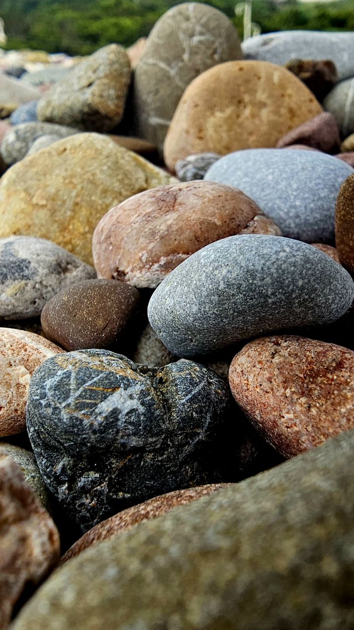 Galets plage gros plan multicolore